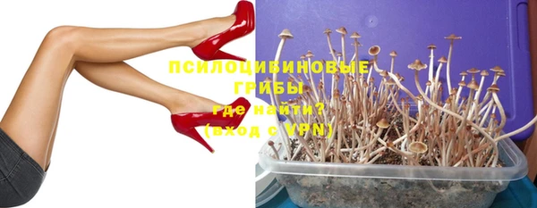 ALPHA PVP Верея